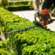 Worker Trimming Hedges